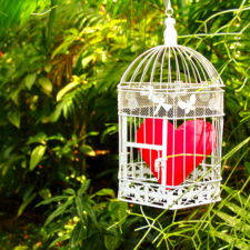 Guard your heart | Textile red heart in a metal cage hanging on tropical forest